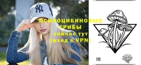 тгк Протвино