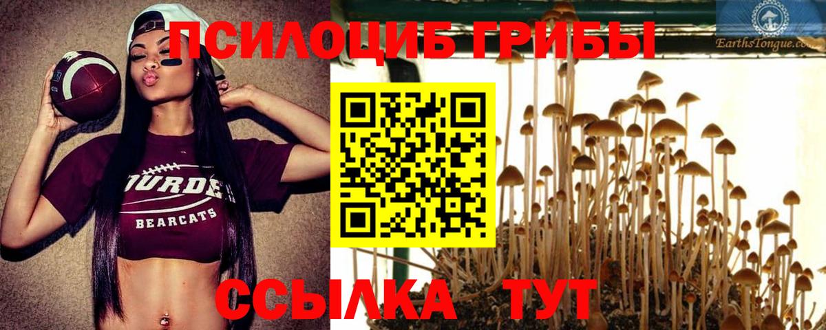 Россошь  Галлюциногенные грибы мухоморы  Вход с VPN  Галлюциногенные грибы мухоморы 